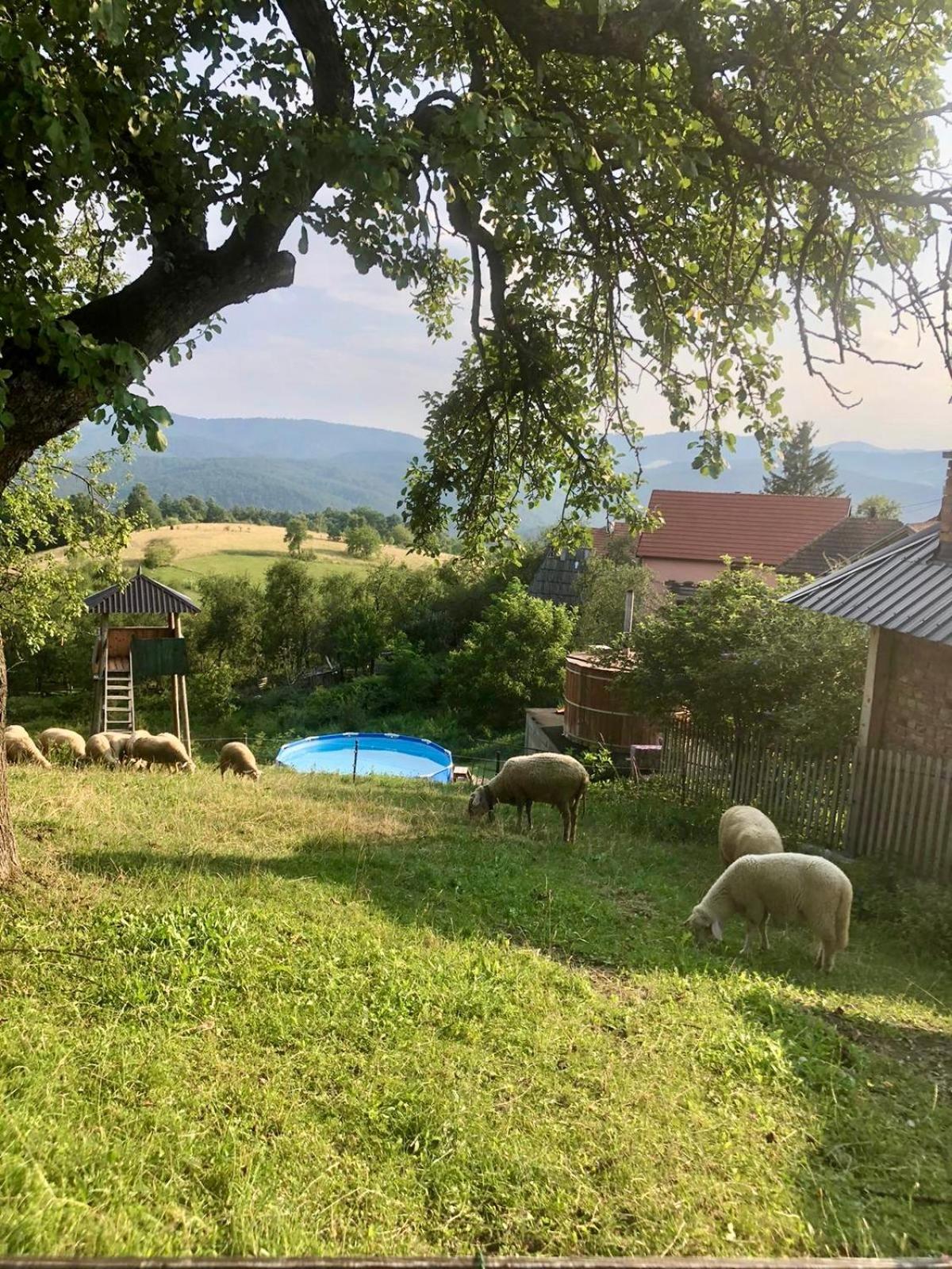 Holiday Home Captain'S Village Sljivovica  Extérieur photo