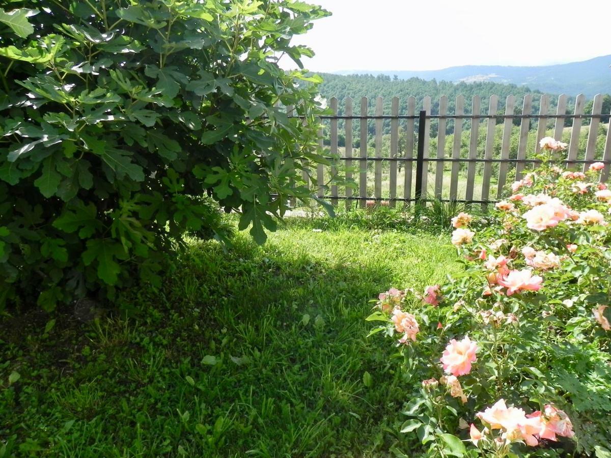 Holiday Home Captain'S Village Sljivovica  Extérieur photo